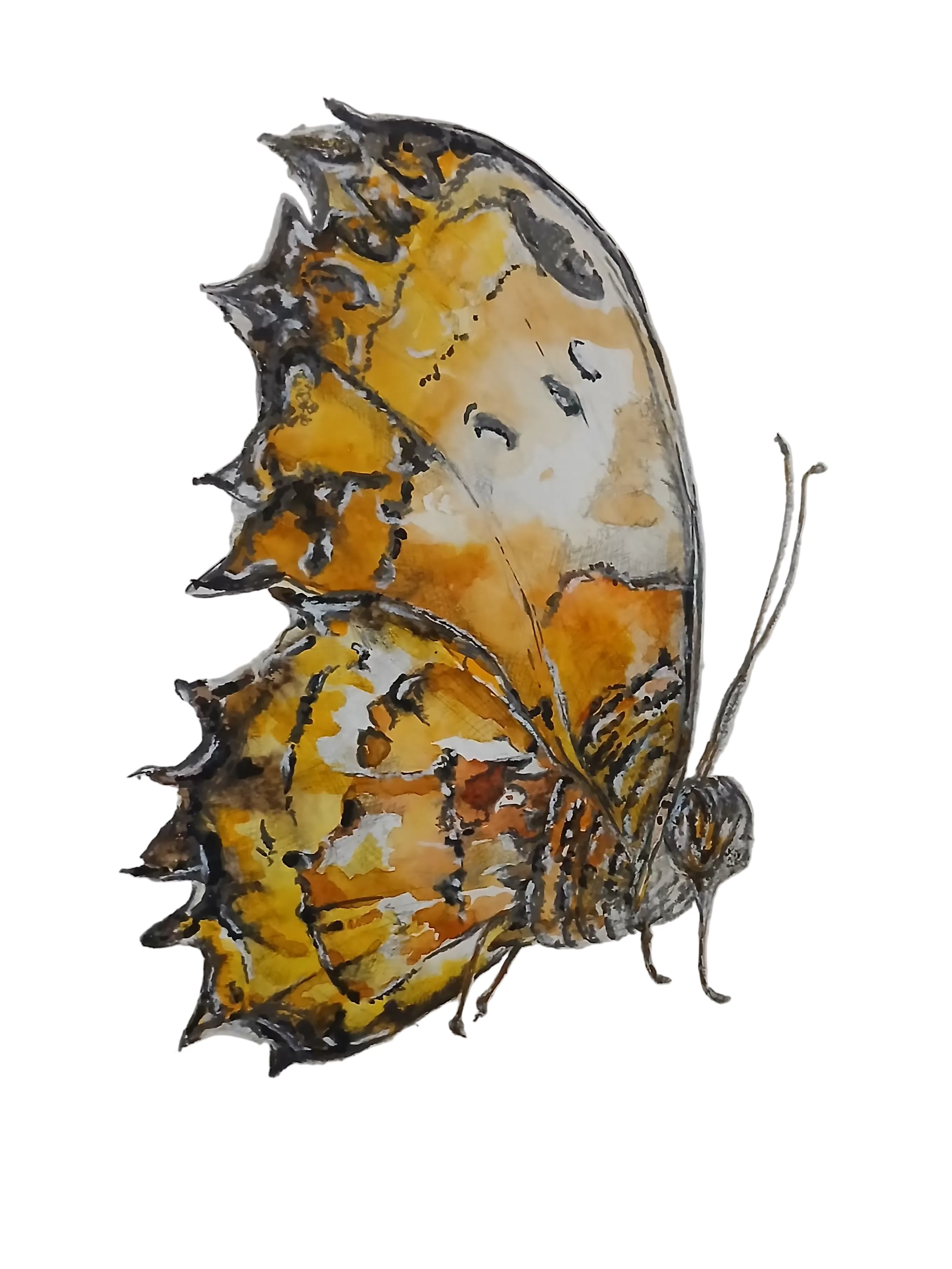 Abstract Butterfly Wall Art — Modern Minimalist Print in Yellow, Orange & Black